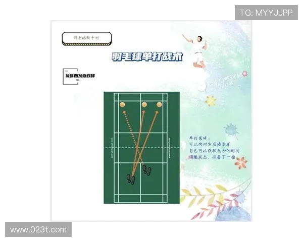 深入分析杭州羽毛球队整体压制战术的优势与应用策略