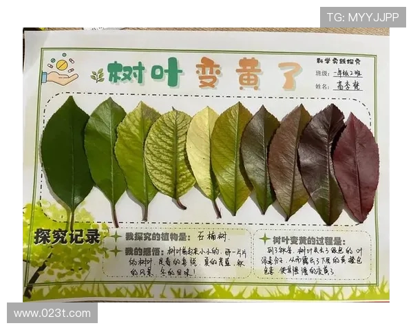 科学排球心理素质训练方法探讨与实践指导 科学排球心理素质训练方法探讨与实践指导