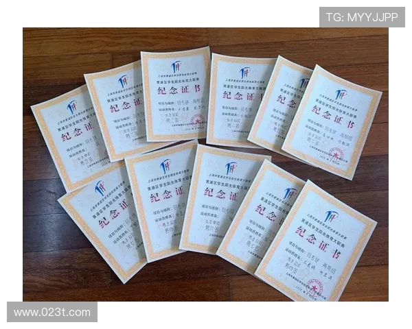 羽毛球的梦想与坚持：杭州羽毛球队成长历程的真实记录