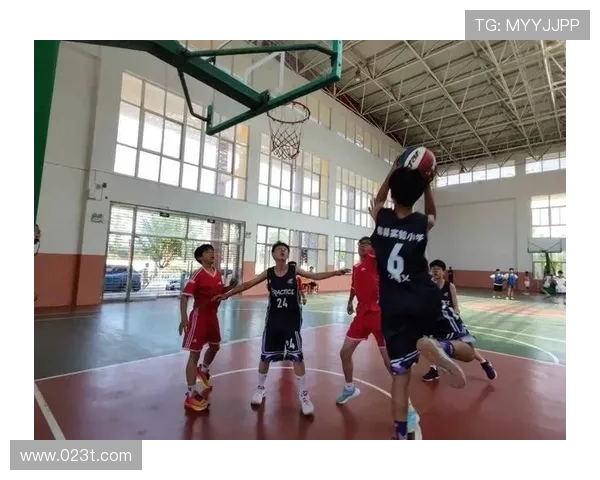 聚焦篮球精神：探索杭州篮球队的团队意识与文化建设