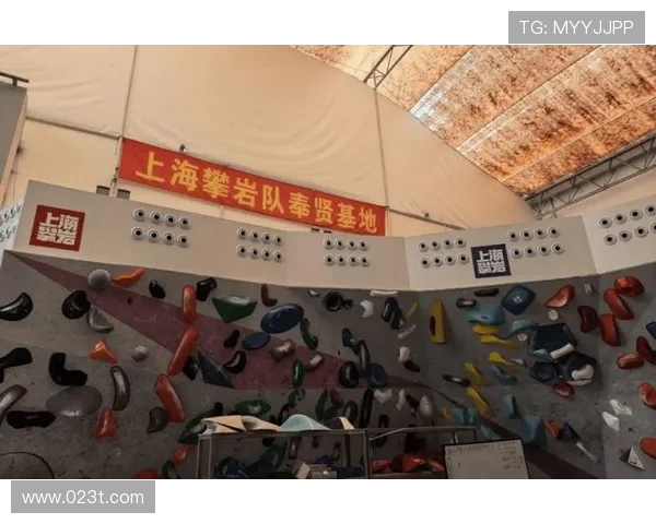 重庆攀岩队与上海攀岩队赛后状态分析与表现对比