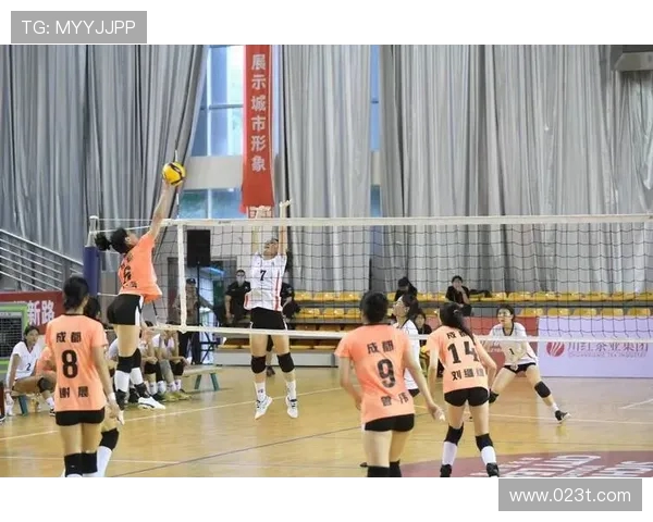 排球状态排名：成都排球队创新高