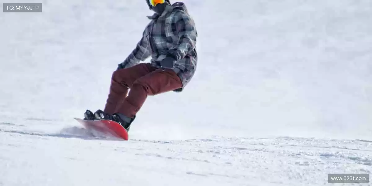 ⚡️ 速度与激情碰撞，